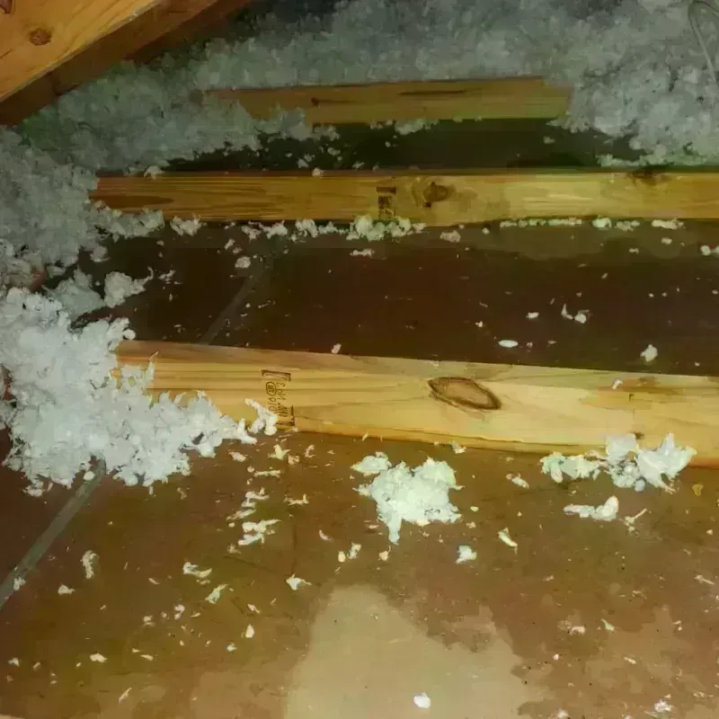 Attic Water Damage in Elk Point, SD