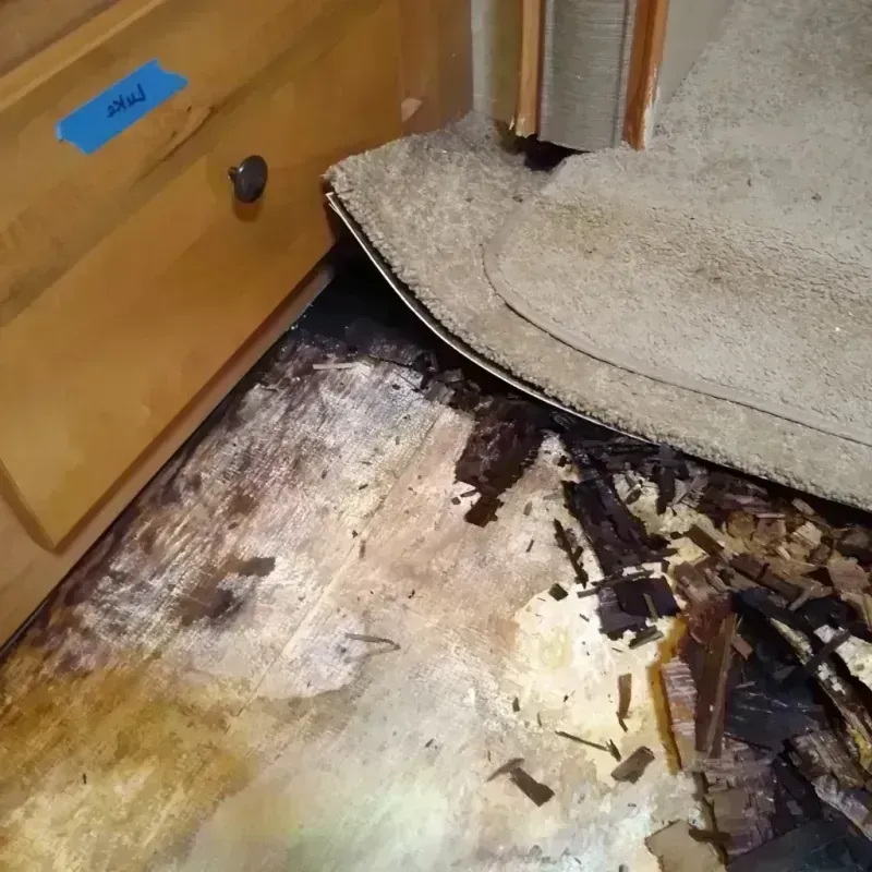 Wood Floor Water Damage in Elk Point, SD